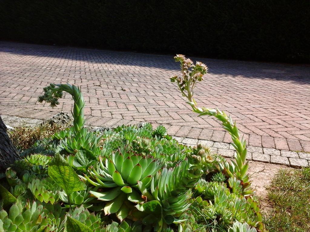 La Casa Di Linda Bed & Breakfast 3*