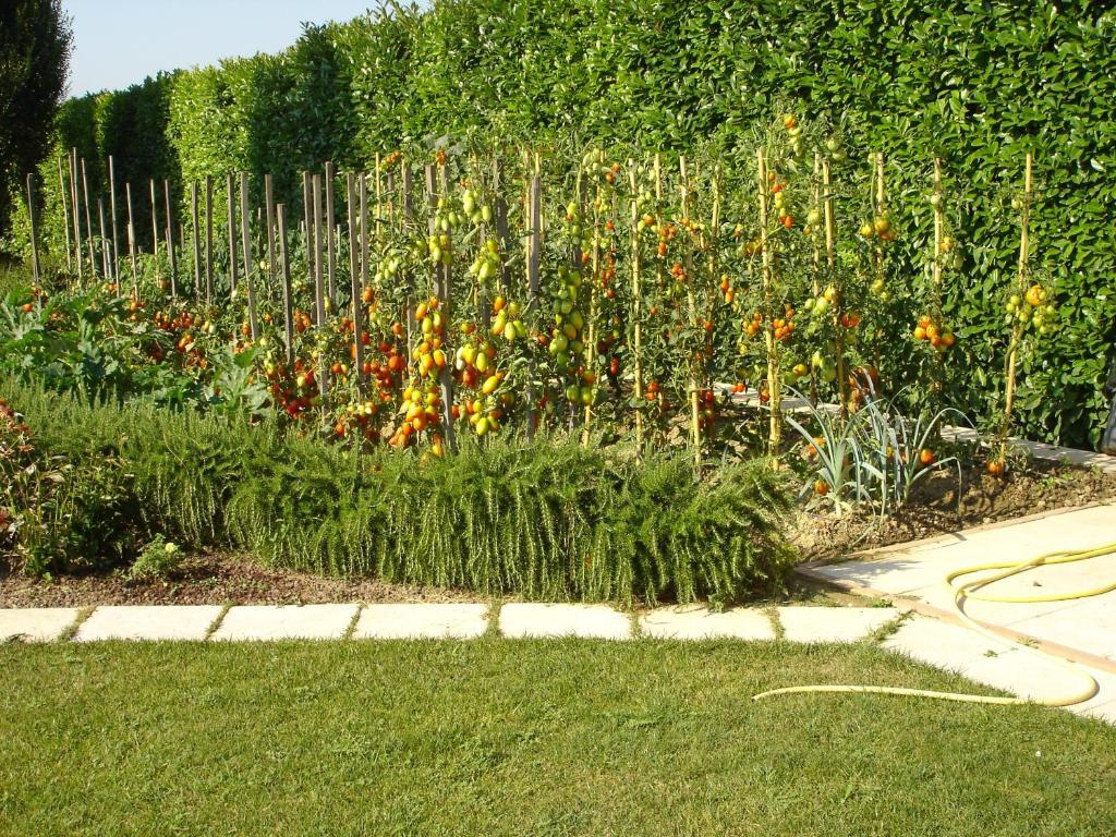 La Casa Di Linda Frühstückspension Mirano