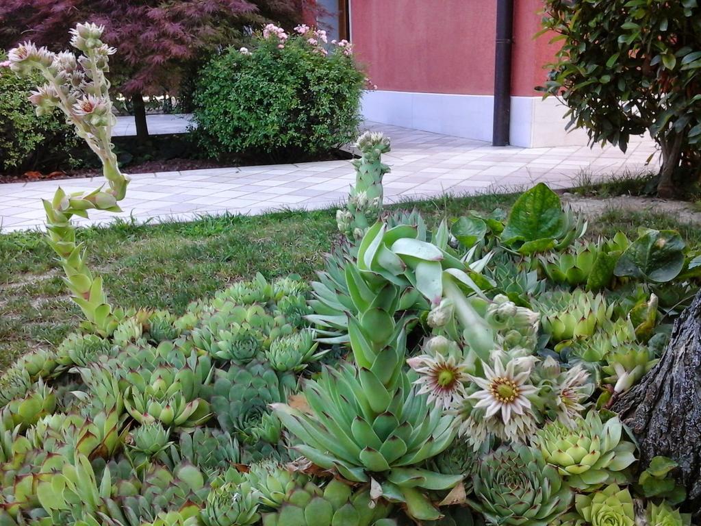 La Casa Di Linda Frühstückspension Mirano